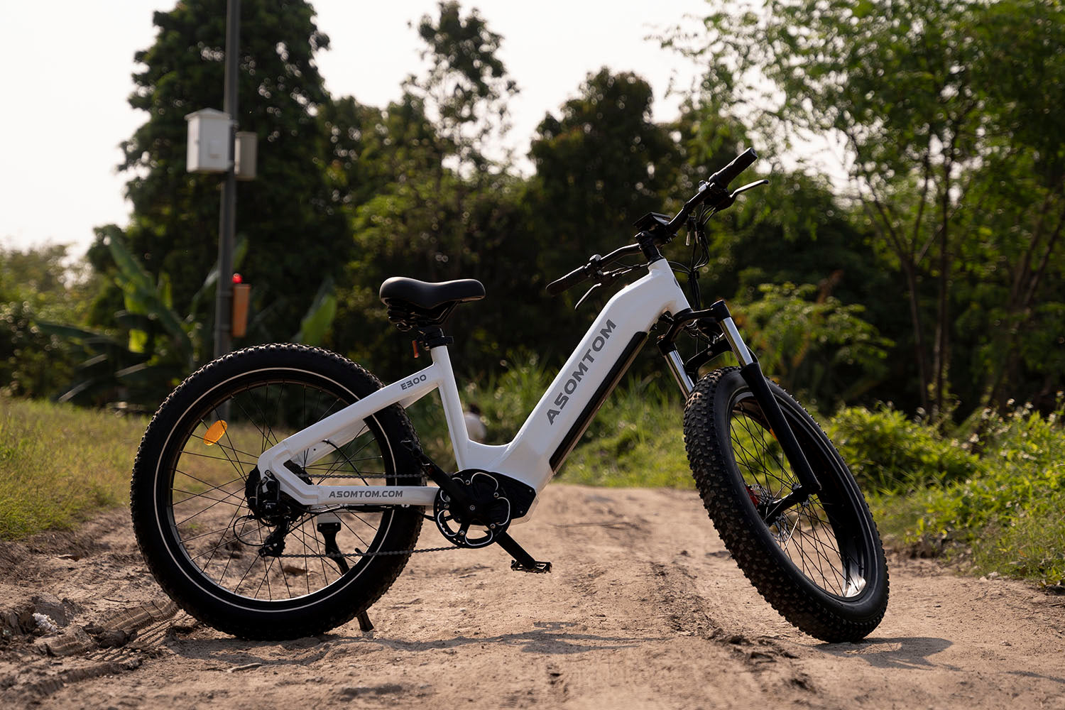 The Best Mountain Electric bike for 2022