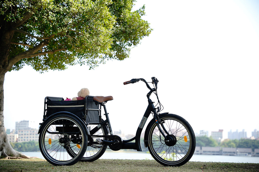 3 wheel bikes for adults electric