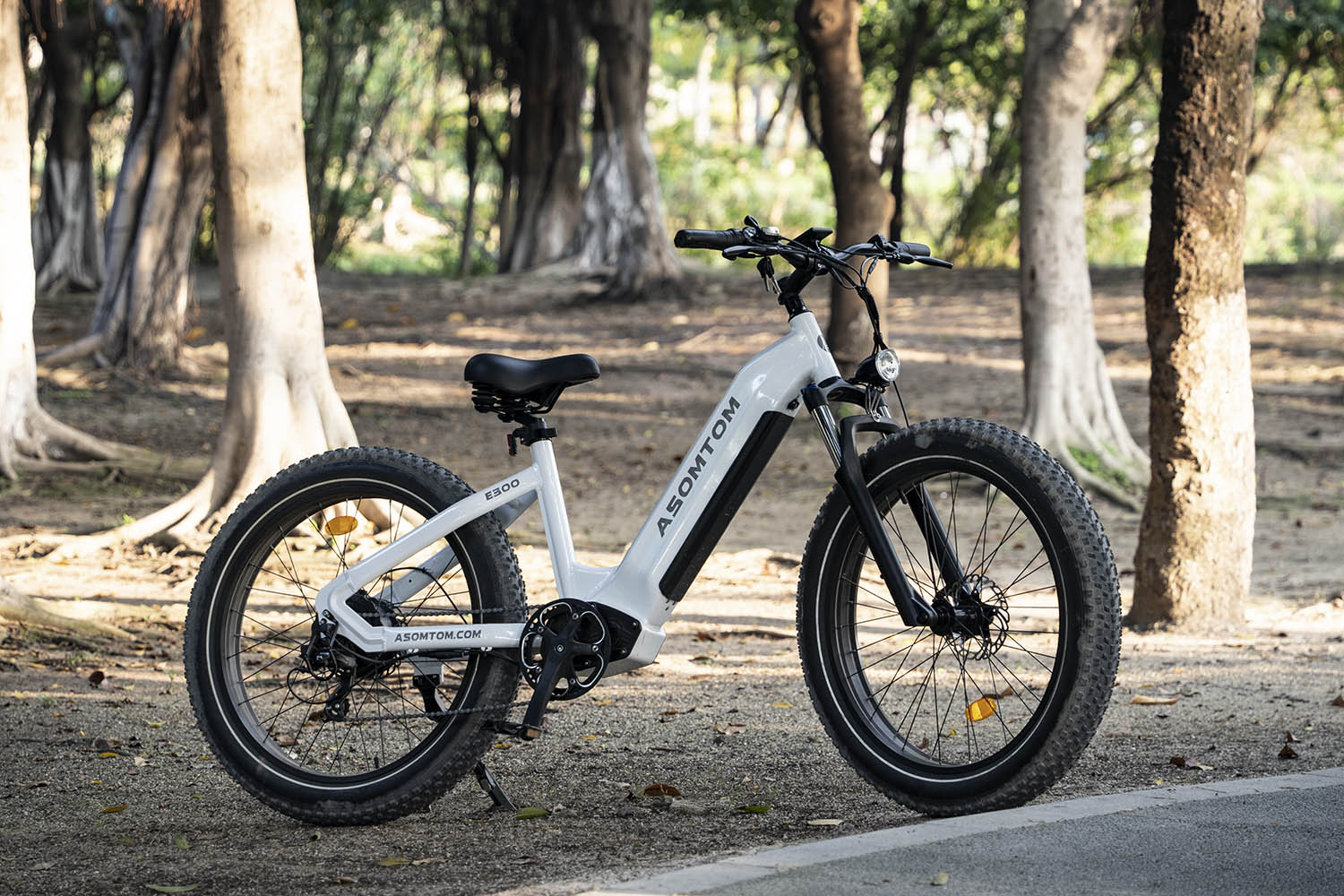 Asomtom 750w fat tire electric bike 