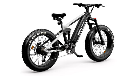 Full-Suspension Fat Tire SR6