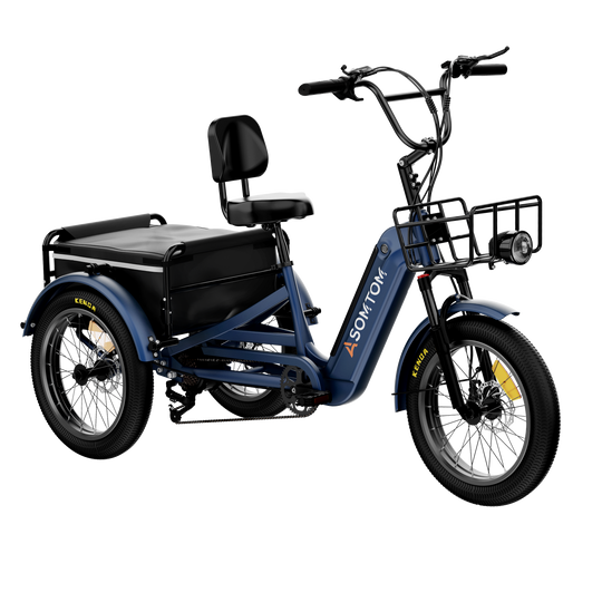 Adult 3-Wheel Cargo Ebike WHALE 2.0 with Canvas Bag