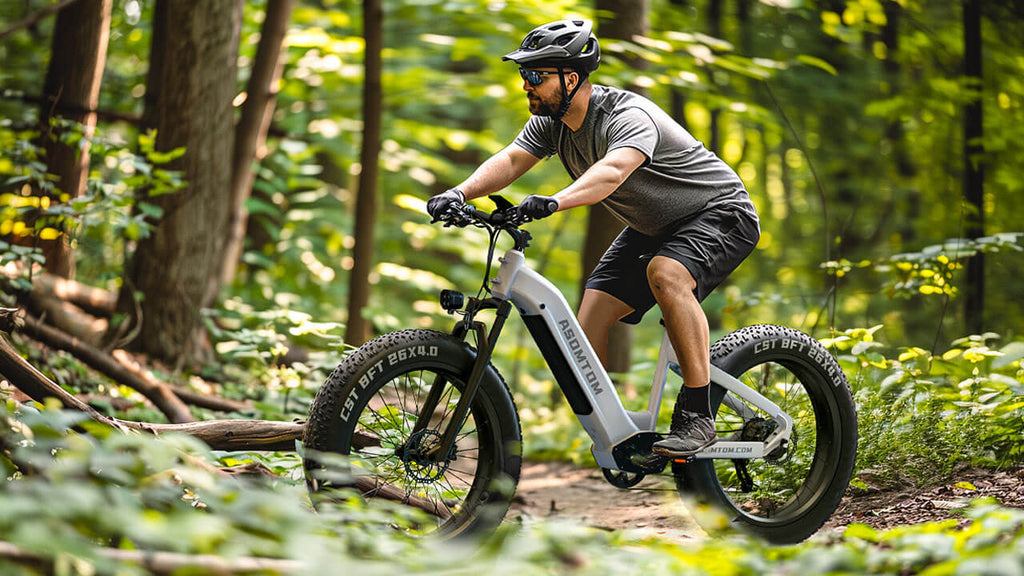 Step-through Adventure Explorer E300