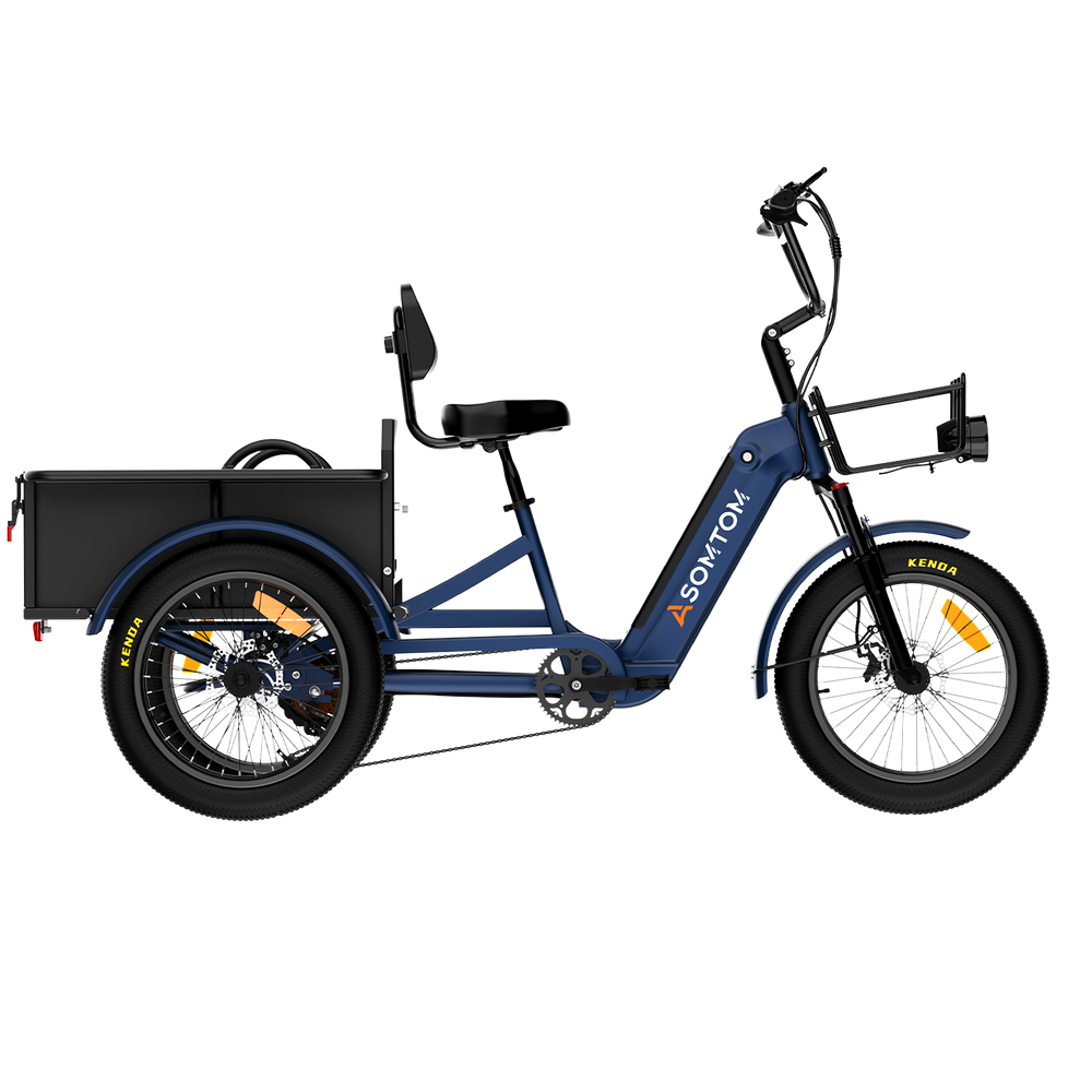 Adult 3-Wheel Cargo Ebike WHALE 2.0 with Metal Frame