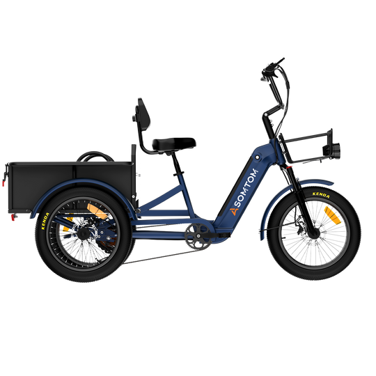 Adult 3-Wheel Cargo Ebike WHALE 2.0 with Metal Frame