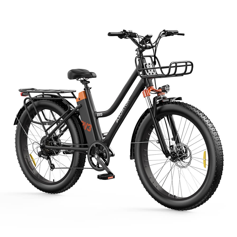 Urban Commuter Elegance E-Bike RV3
