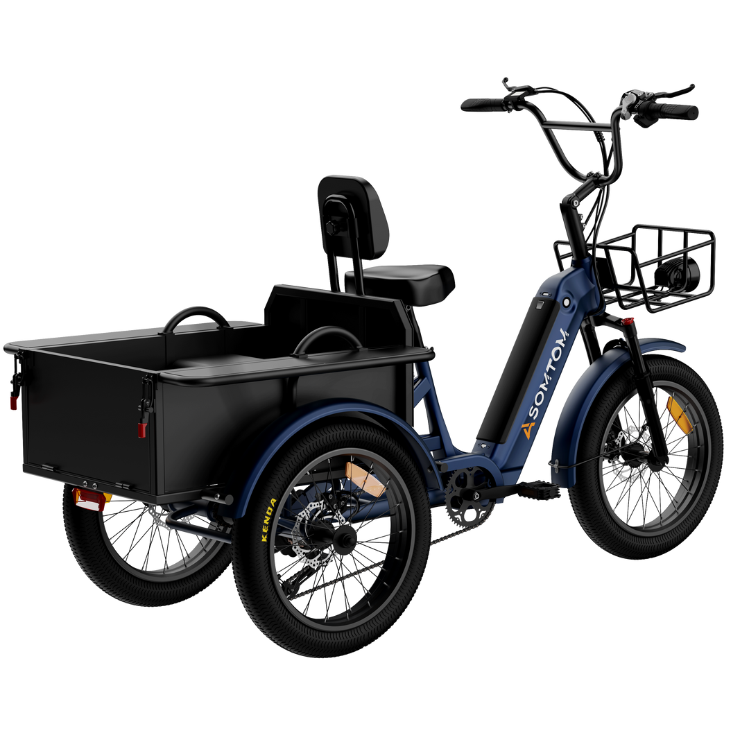 Adult 3-Wheel Cargo Ebike WHALE 2.0 with Metal Frame