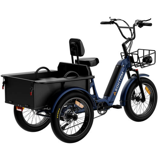 Adult 3-Wheel Cargo Ebike WHALE 2.0 with Metal Frame