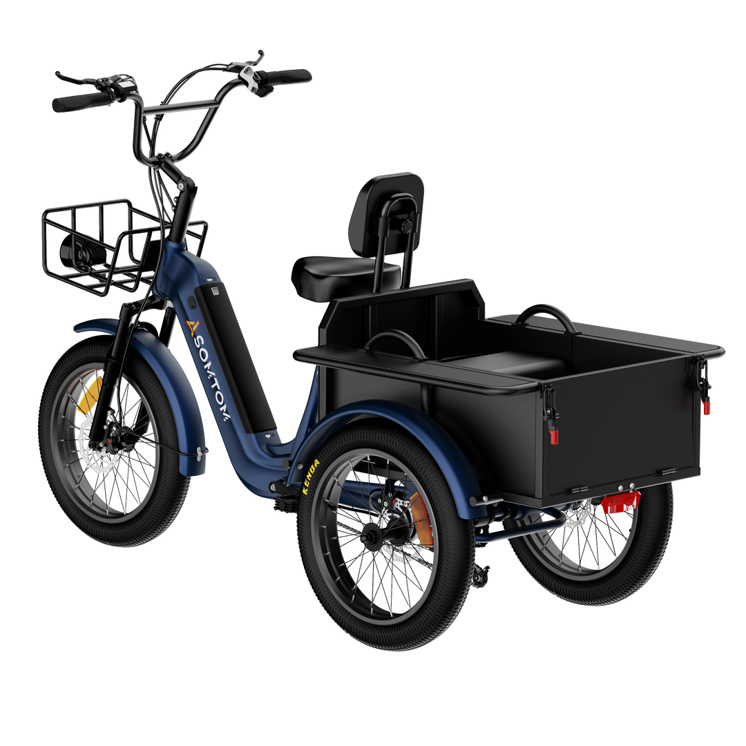 Adult 3-Wheel Cargo Ebike WHALE 2.0 with Metal Frame