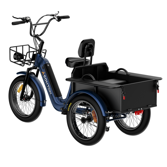 Adult 3-Wheel Cargo Ebike WHALE 2.0 with Metal Frame