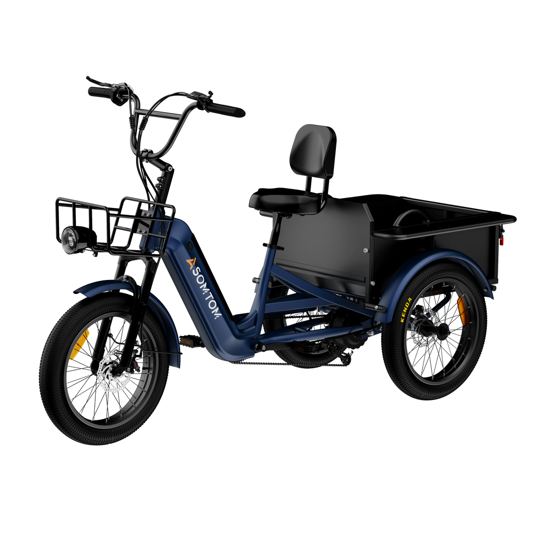 Adult 3-Wheel Cargo Ebike WHALE 2.0 with Metal Frame