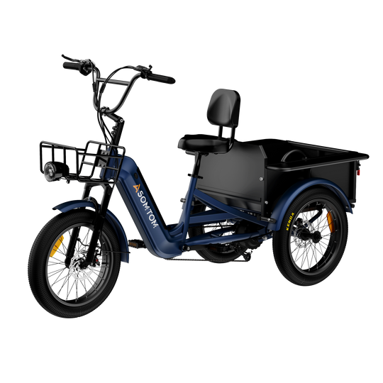 Adult 3-Wheel Cargo Ebike WHALE 2.0 with Metal Frame