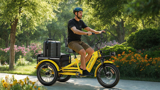 High-Capacity Durable E-Trike WHALE
