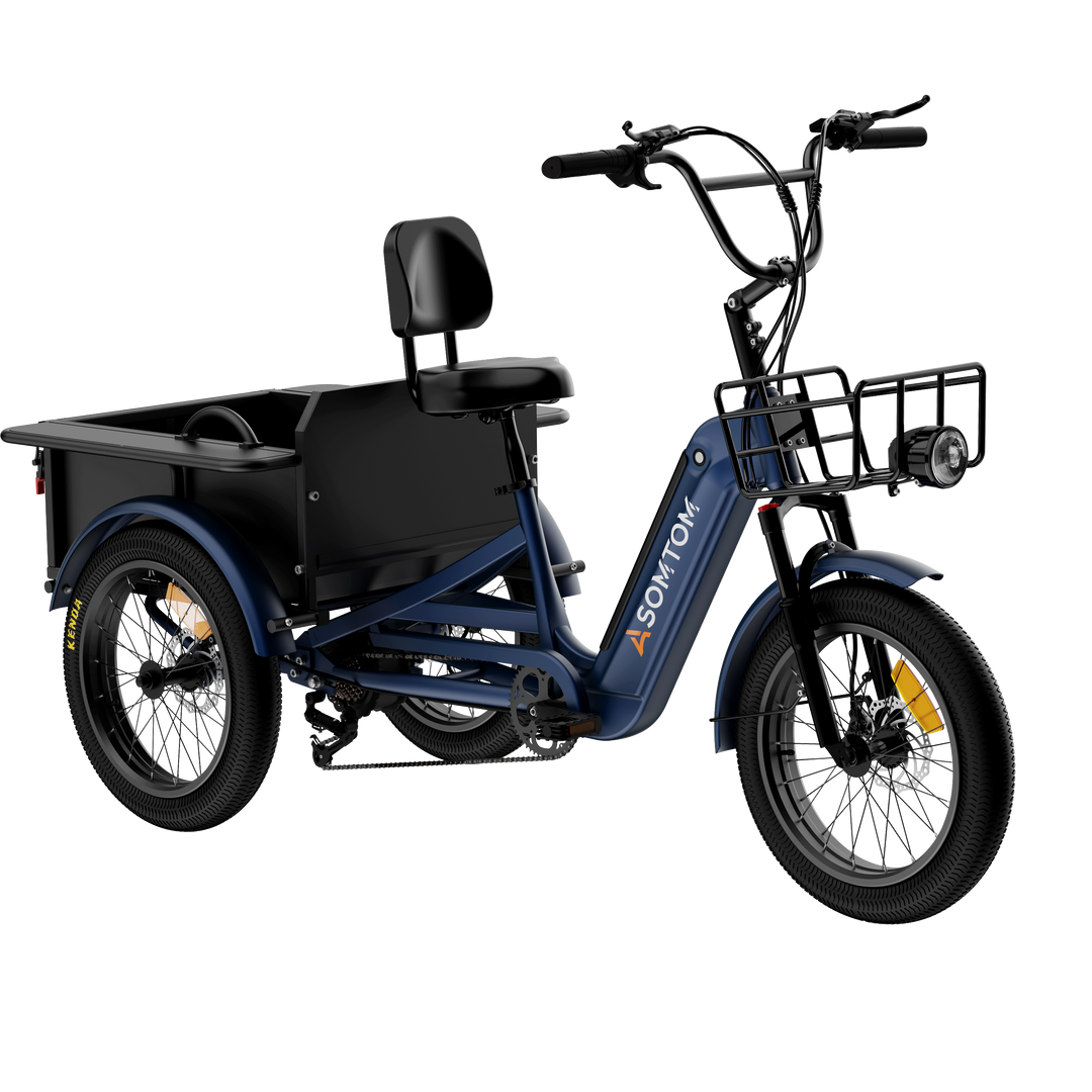 Adult 3-Wheel Cargo Ebike WHALE 2.0 with Metal Frame