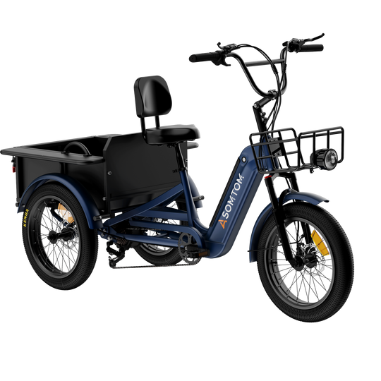 Adult 3-Wheel Cargo Ebike WHALE 2.0 with Metal Frame