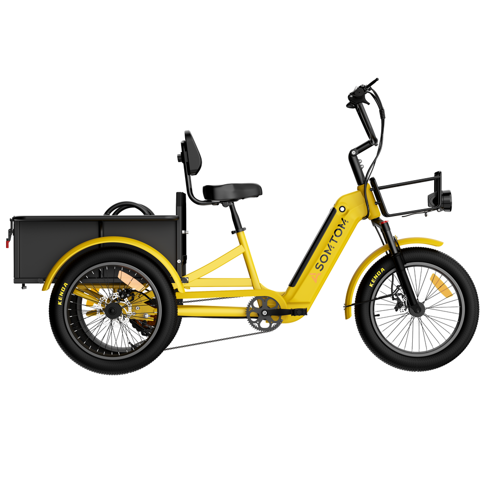 Adult 3-Wheel Cargo Ebike WHALE 2.0 with Metal Frame