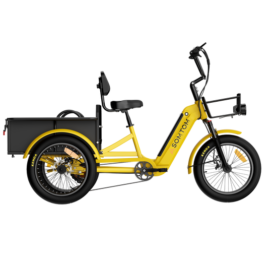 Adult 3-Wheel Cargo Ebike WHALE 2.0 with Metal Frame