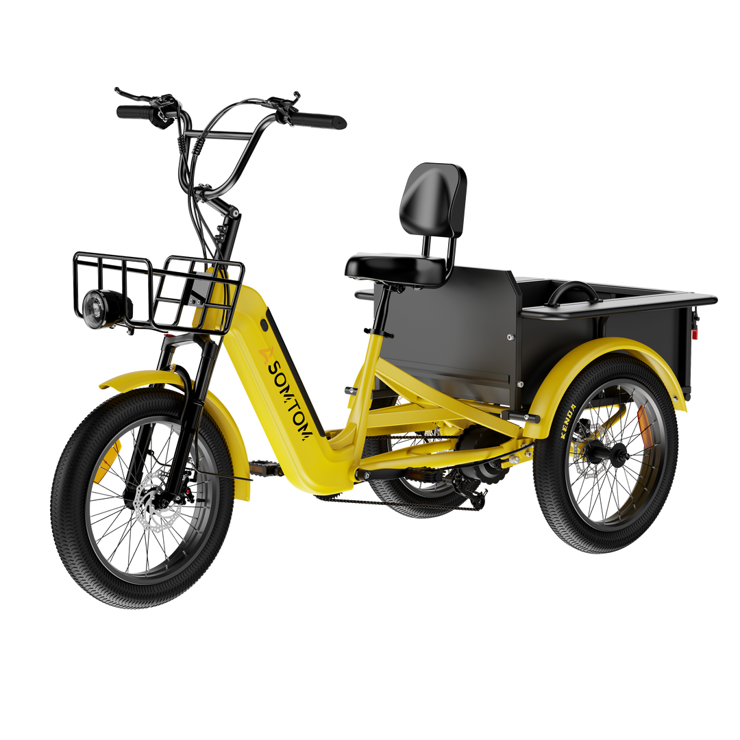 Adult 3-Wheel Cargo Ebike WHALE 2.0 with Metal Frame