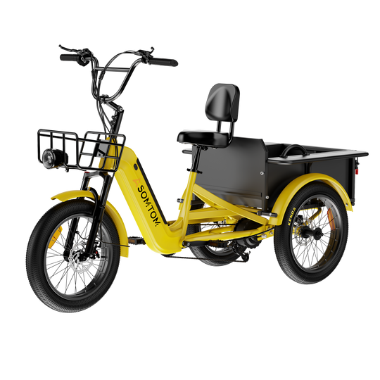 Adult 3-Wheel Cargo Ebike WHALE 2.0 with Metal Frame