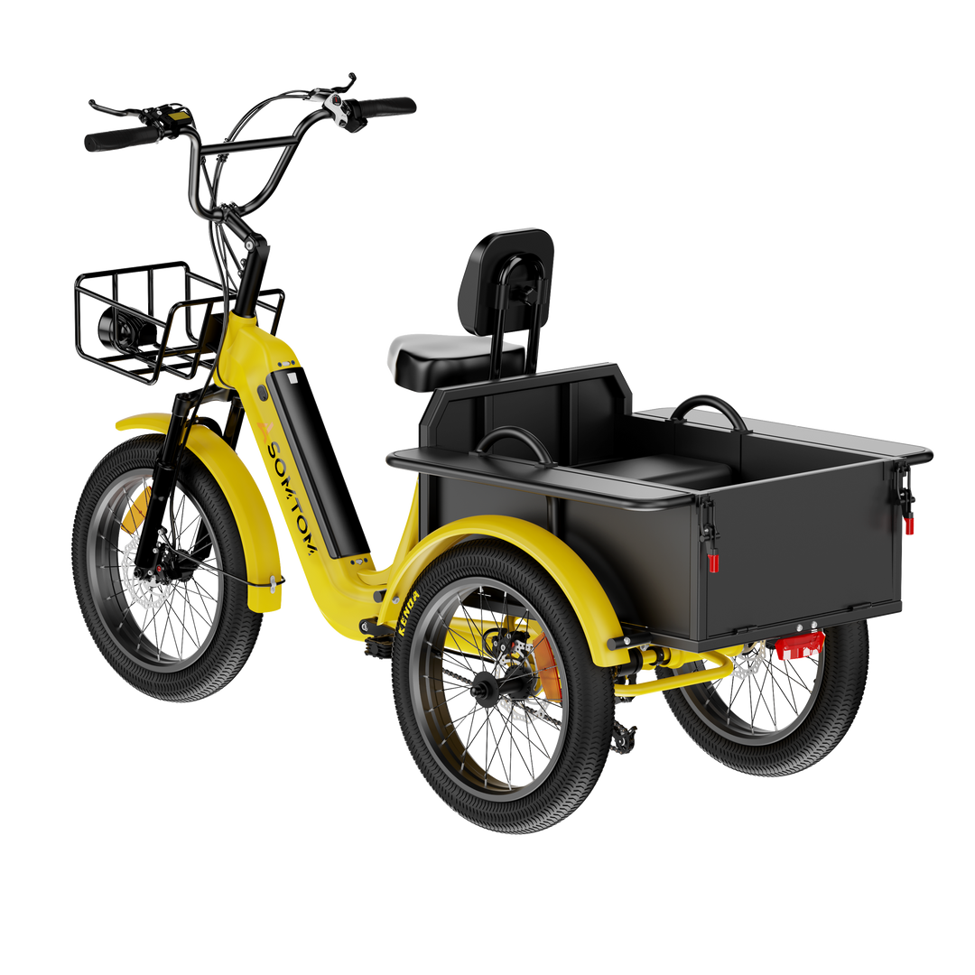 Adult 3-Wheel Cargo Ebike WHALE 2.0 with Metal Frame