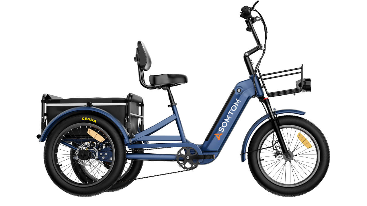Adult 3-Wheel Cargo Ebike WHALE 2.0 with Canvas Bag