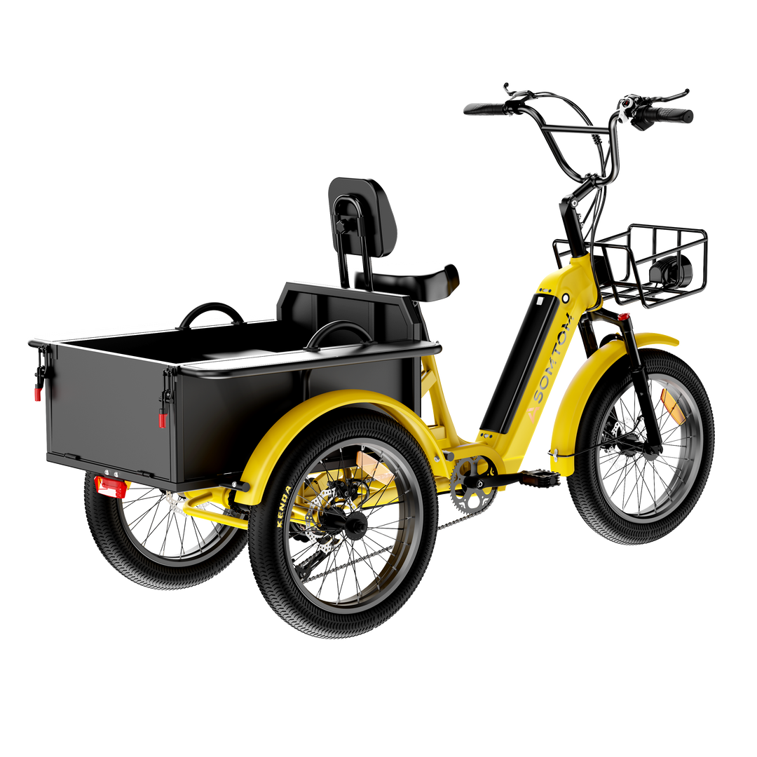 Adult 3-Wheel Cargo Ebike WHALE 2.0 with Metal Frame
