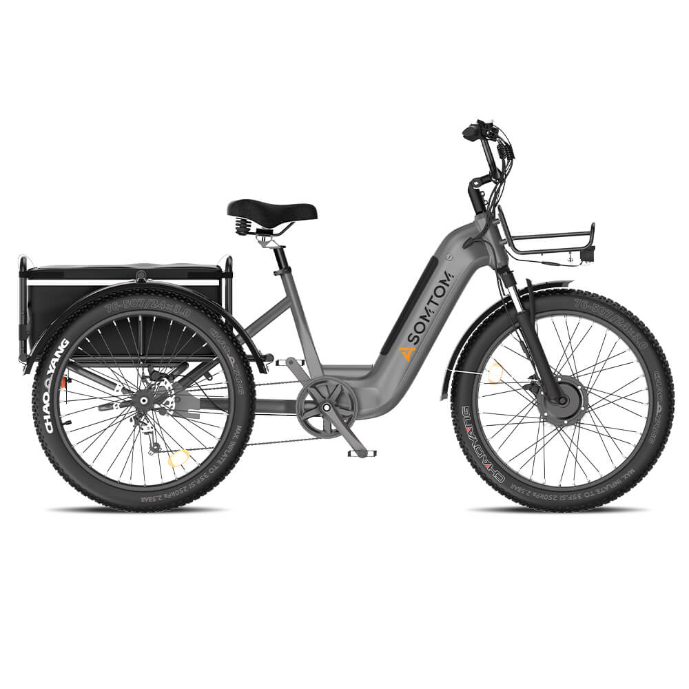 High-Capacity Durable Cargo Tricycle WHALE