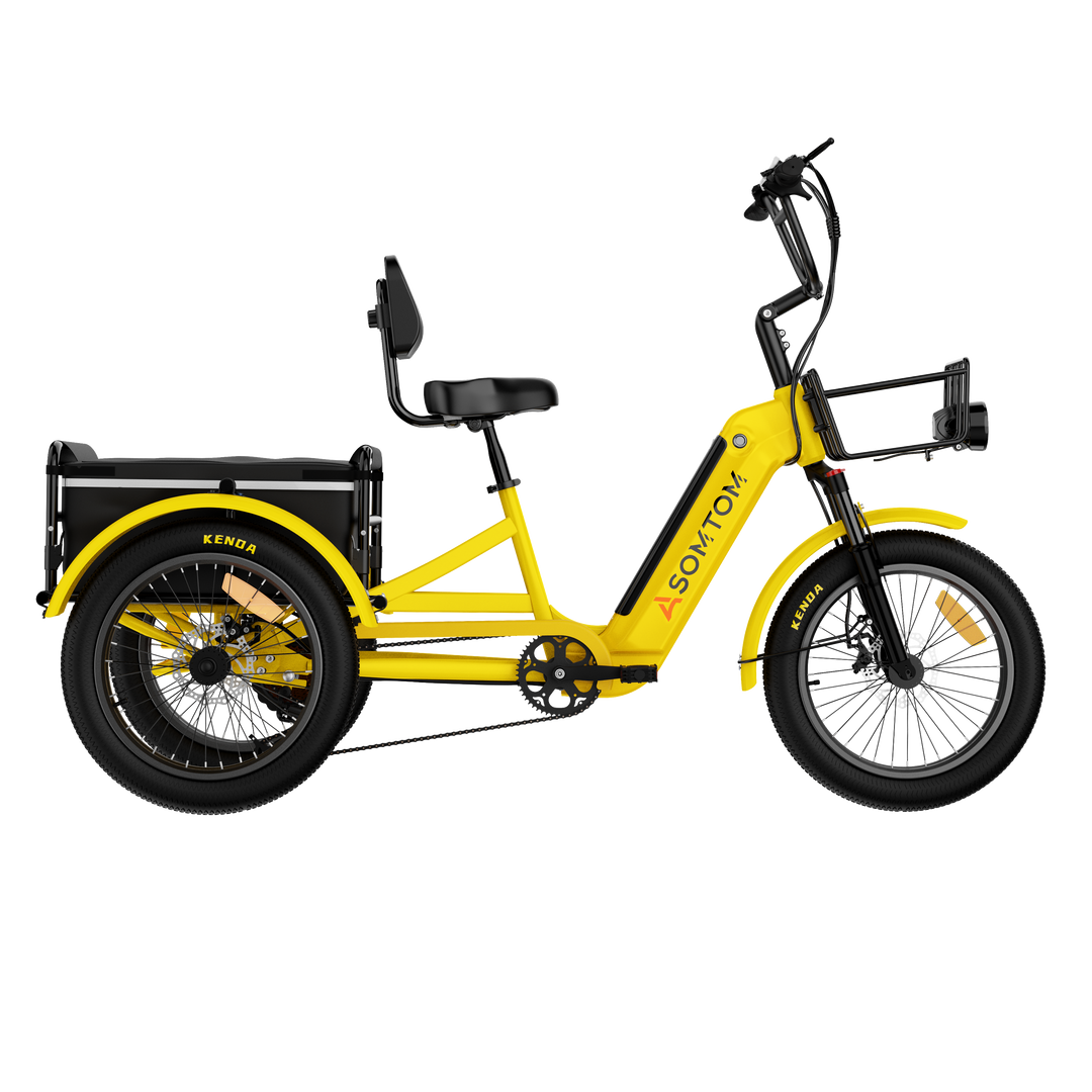 Adult 3-Wheel Cargo Ebike WHALE 2.0 with Canvas Bag