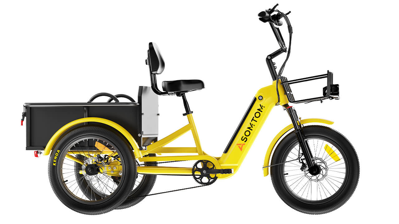 Adult 3-Wheel Cargo Ebike WHALE 2.0 with Metal Frame