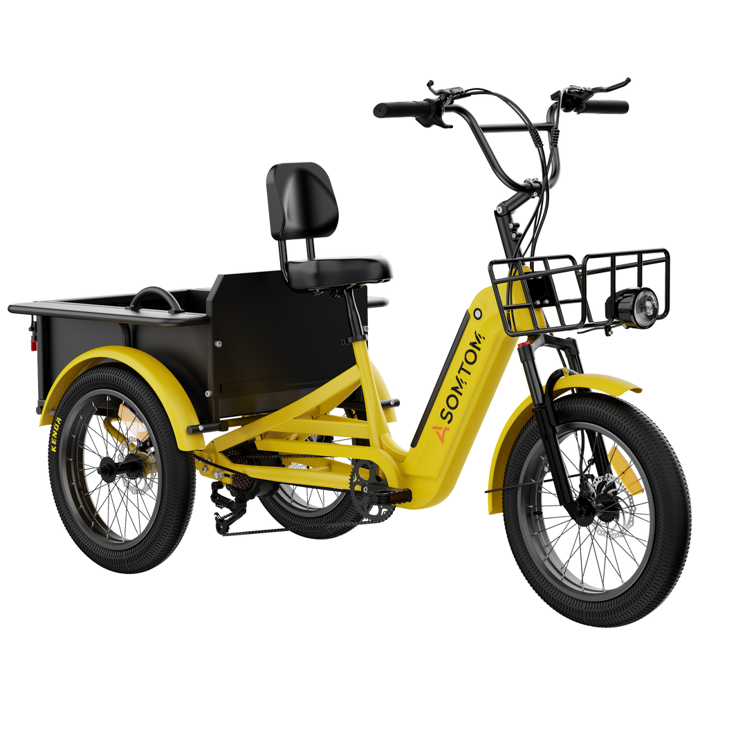 Adult 3-Wheel Cargo Ebike WHALE 2.0 with Metal Frame