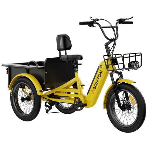 Adult 3-Wheel Cargo Ebike WHALE 2.0 with Metal Frame