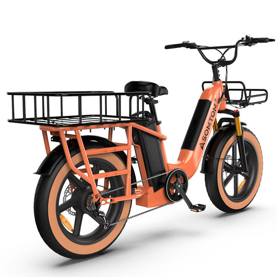 Low-step Dual-battery Cargo E-Bike MAMMOTH