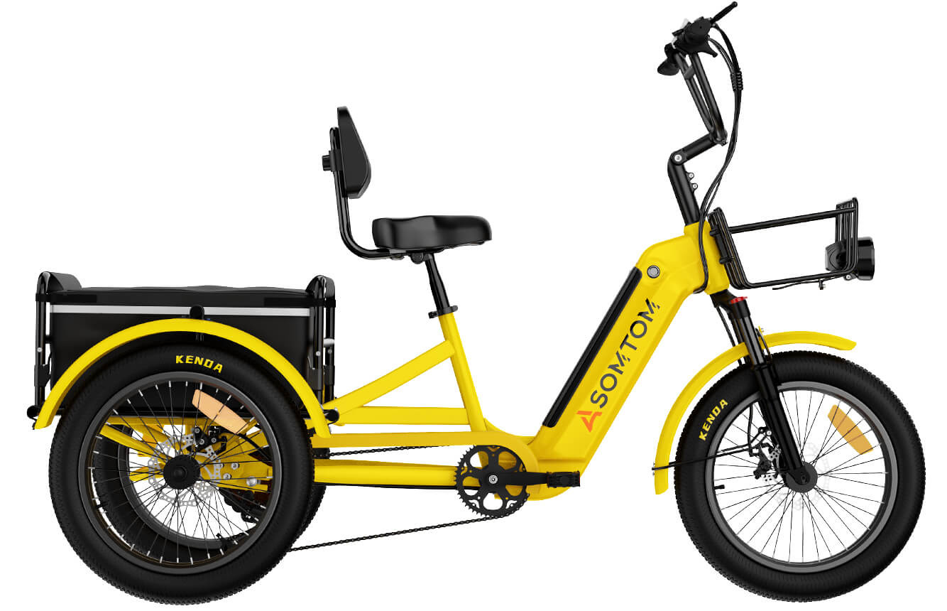 Trike Whale 2.0 with Canvas Bag
