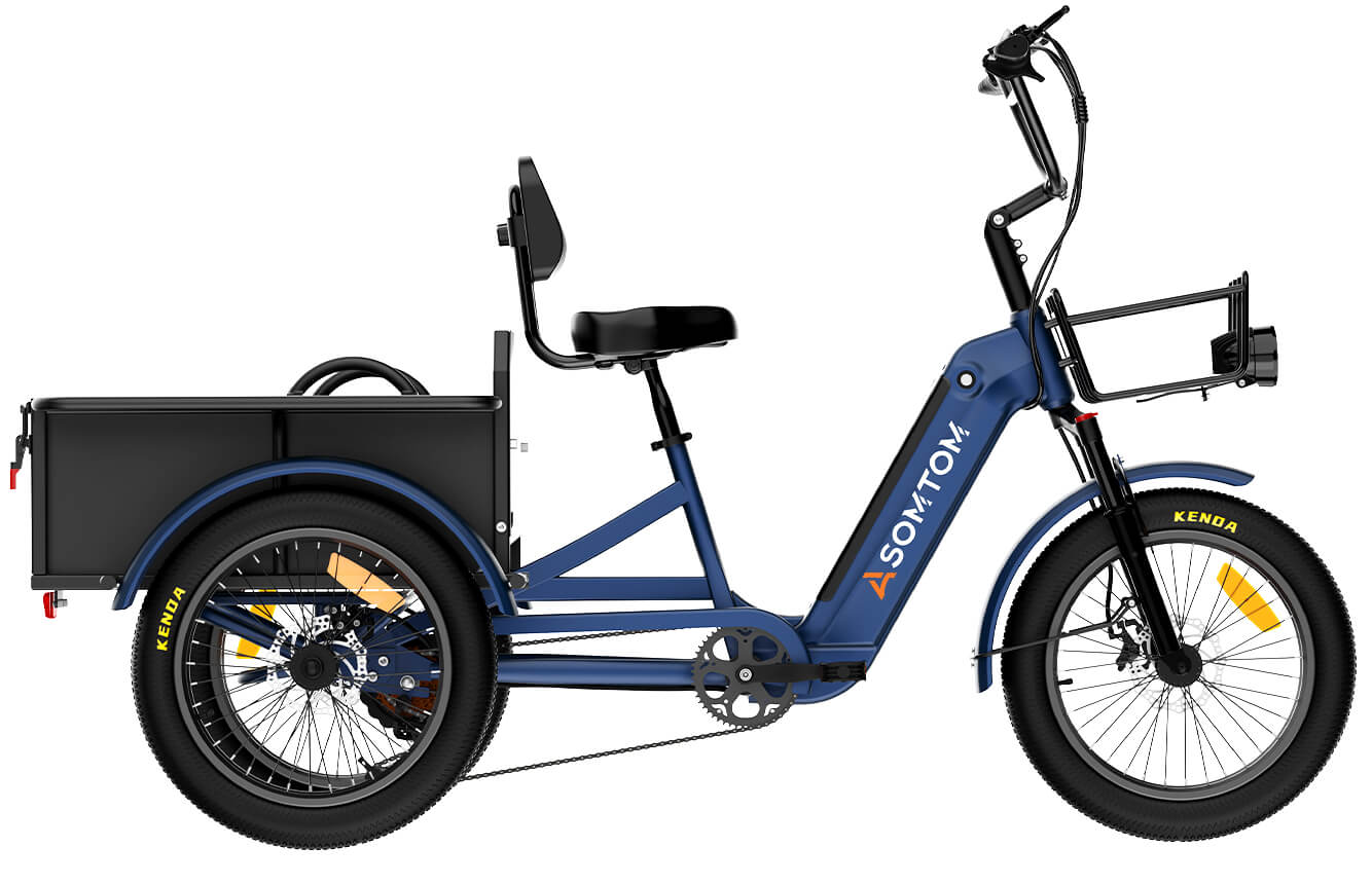 Trike Whale 2.0 with Metal Frame