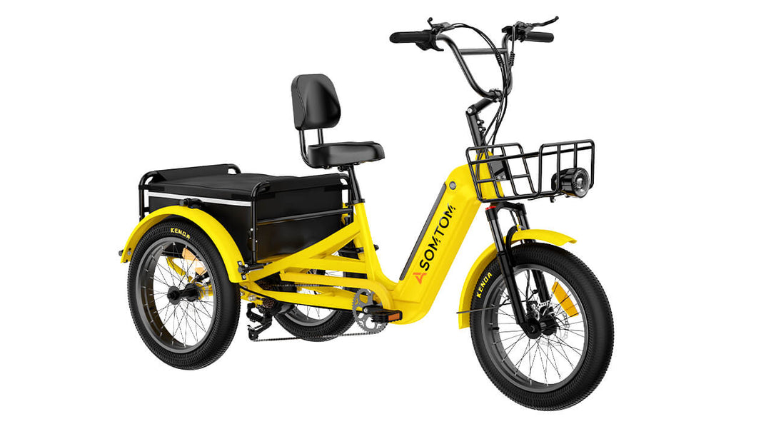 High-Capacity Durable E-Trike WHALE