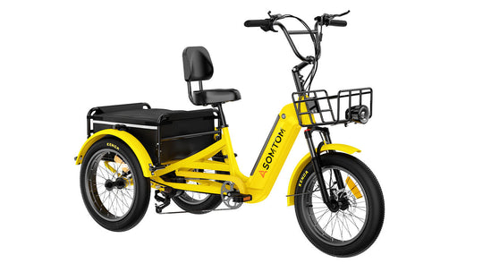 High-Capacity Durable E-Trike WHALE