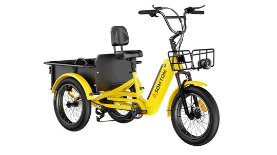 High-Capacity Durable E-Trike WHALE