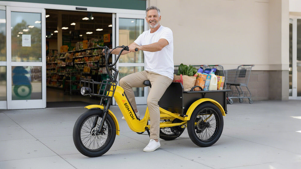 Adult 3-Wheel Cargo Ebike WHALE 2.0 with Metal Frame