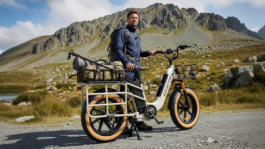 Low-step Dual-battery Cargo E-Bike MAMMOTH