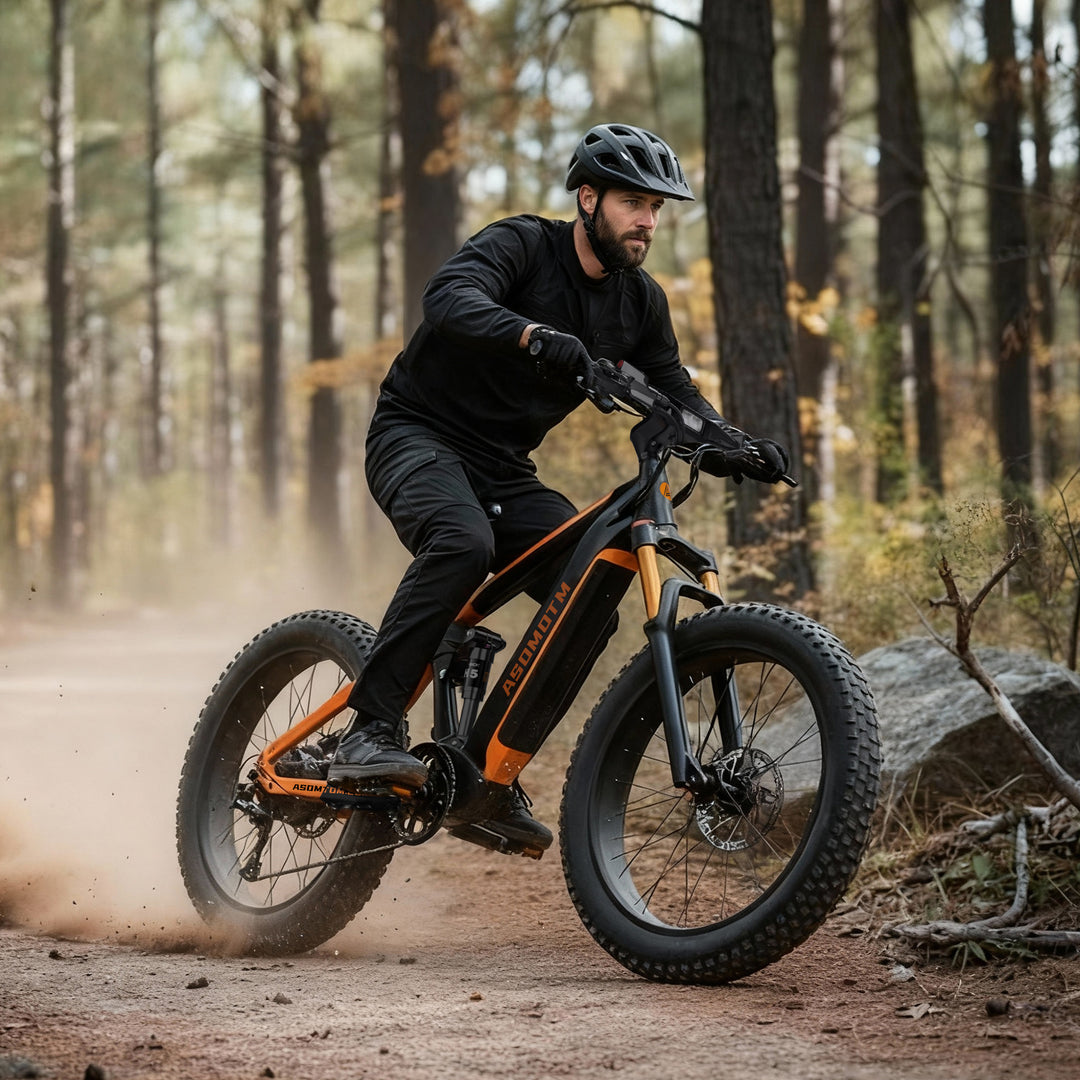 Full-Suspension Fat Tire SR6