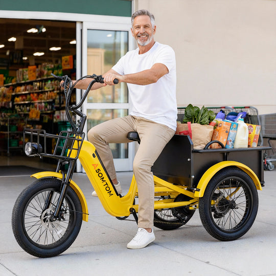 Adult 3-Wheel Cargo Ebike WHALE 2.0 with Metal Frame