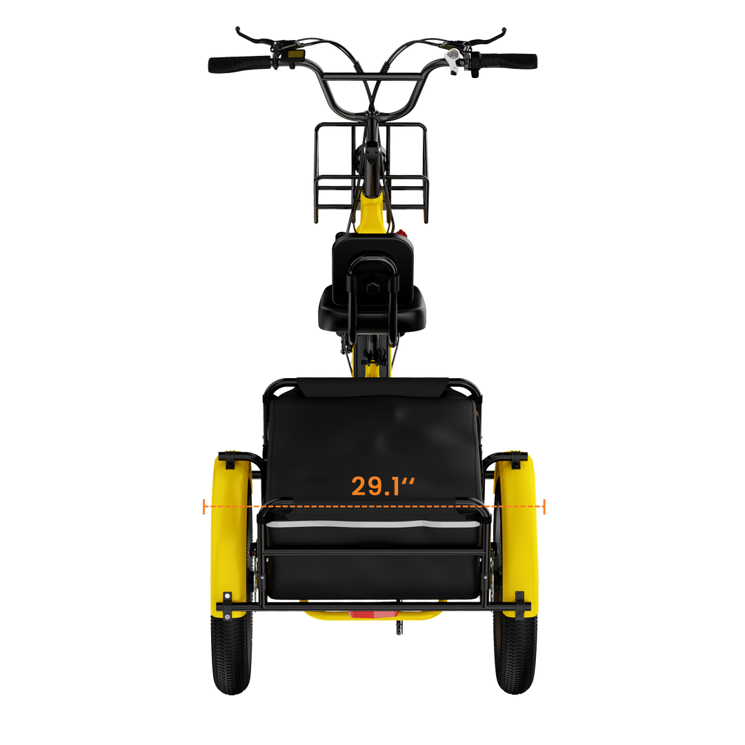 Adult 3-Wheel Cargo Ebike WHALE 2.0 with Canvas Bag
