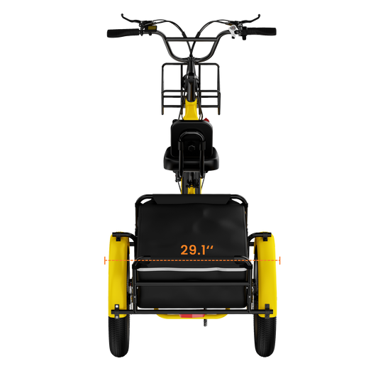 Adult 3-Wheel Cargo Ebike WHALE 2.0 with Canvas Bag