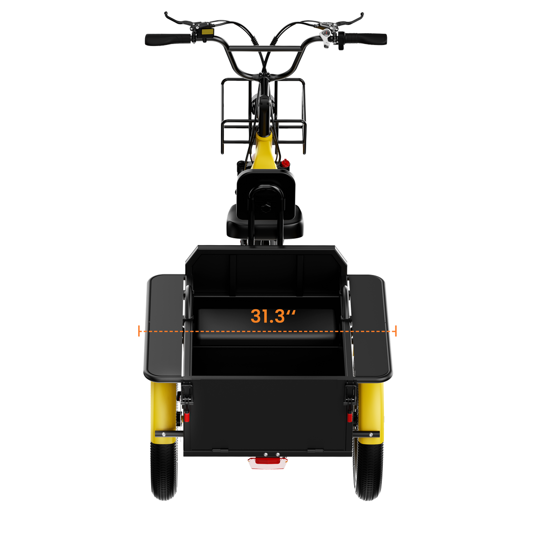 Adult 3-Wheel Cargo Ebike WHALE 2.0 with Metal Frame