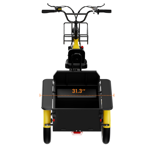 Adult 3-Wheel Cargo Ebike WHALE 2.0 with Metal Frame