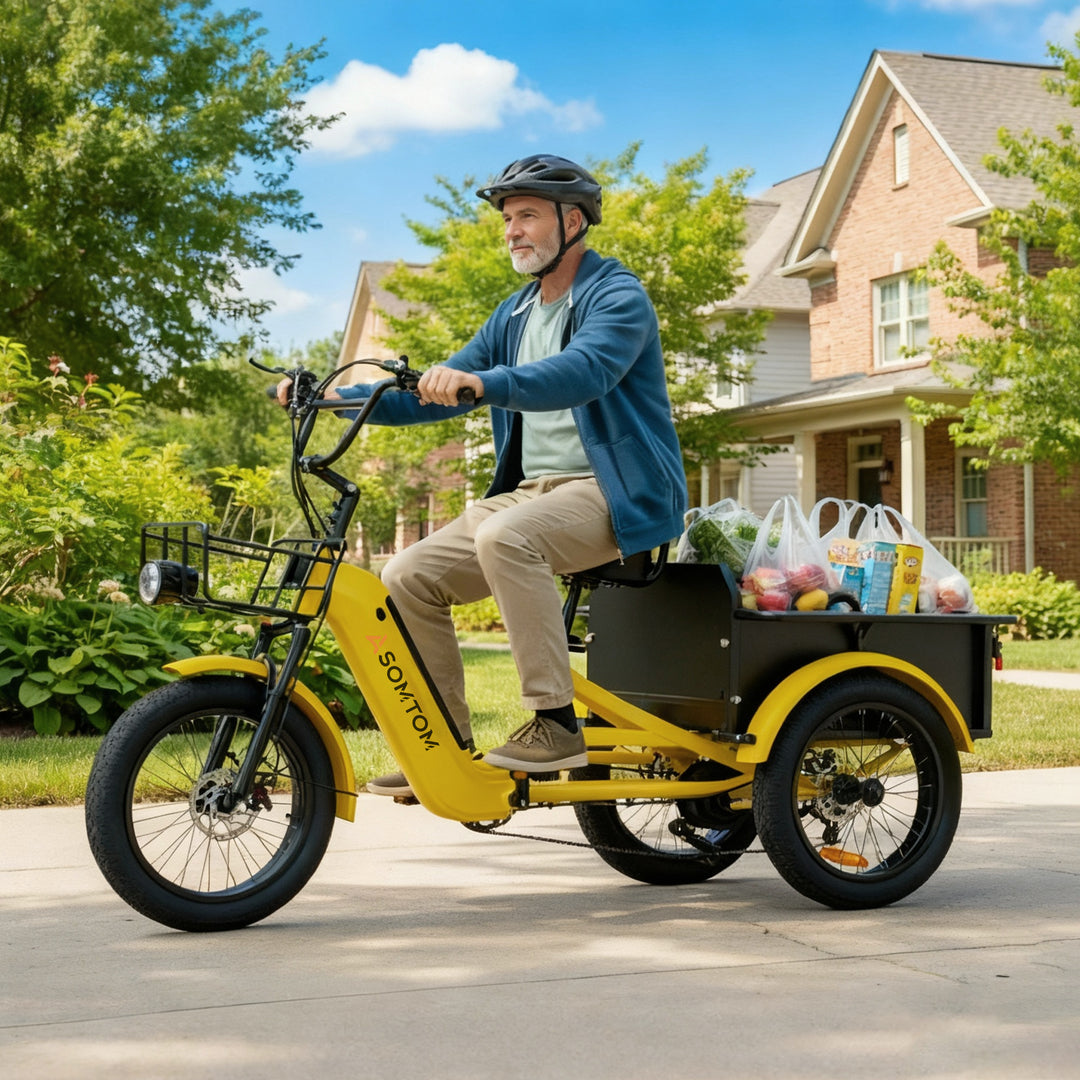 Adult 3-Wheel Cargo Ebike WHALE 2.0 with Metal Frame