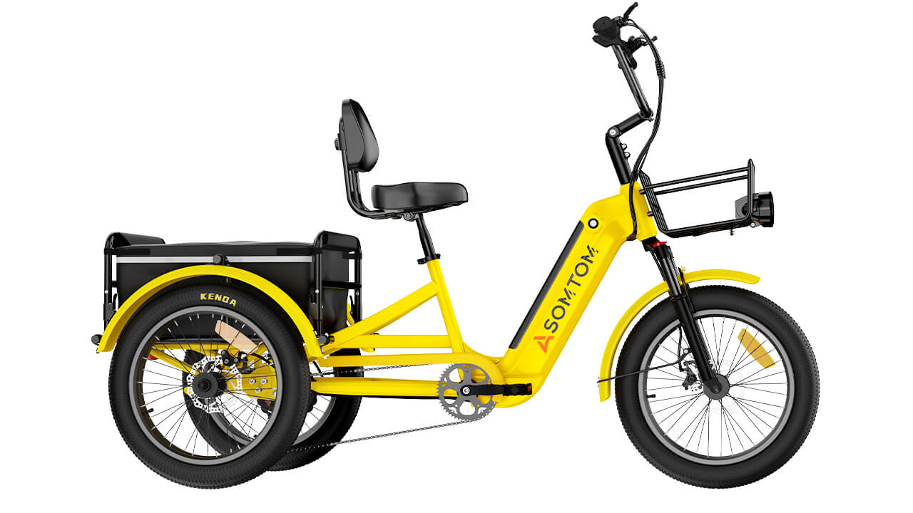 Adult 3-Wheel Cargo Ebike WHALE 2.0 with Canvas Bag