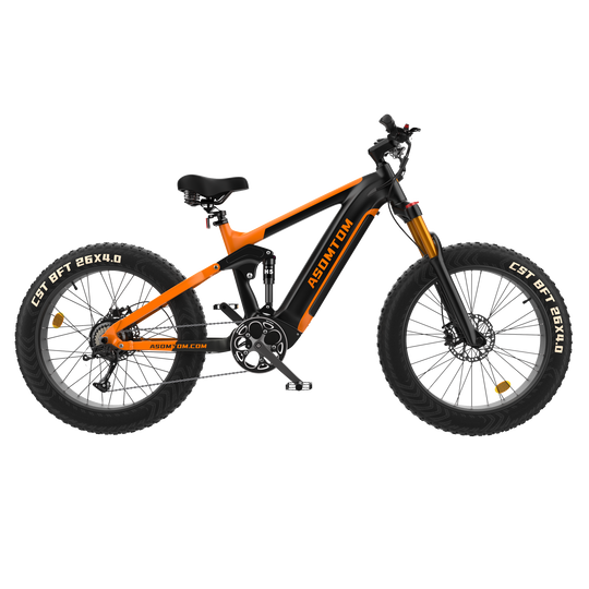 Full-Suspension Fat Tire SR6