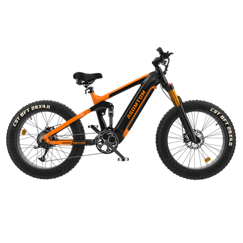 Full-Suspension Fat Tire SR6