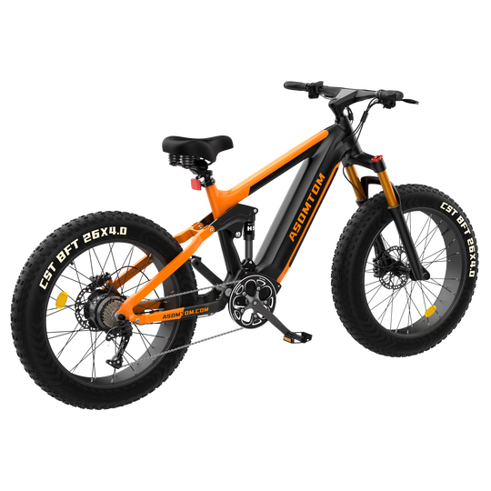 Full-Suspension Fat Tire SR6