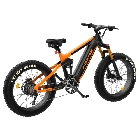 Full-Suspension Fat Tire SR6